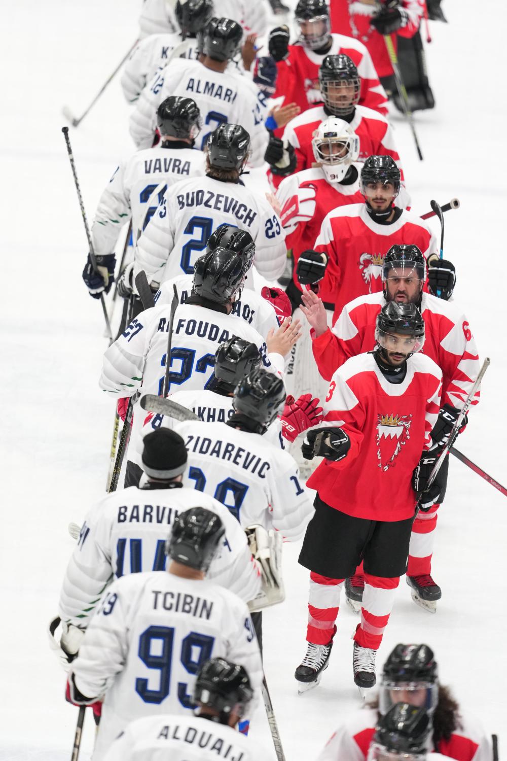 爱游戏在线-冰球热度飙升，网友热议不断