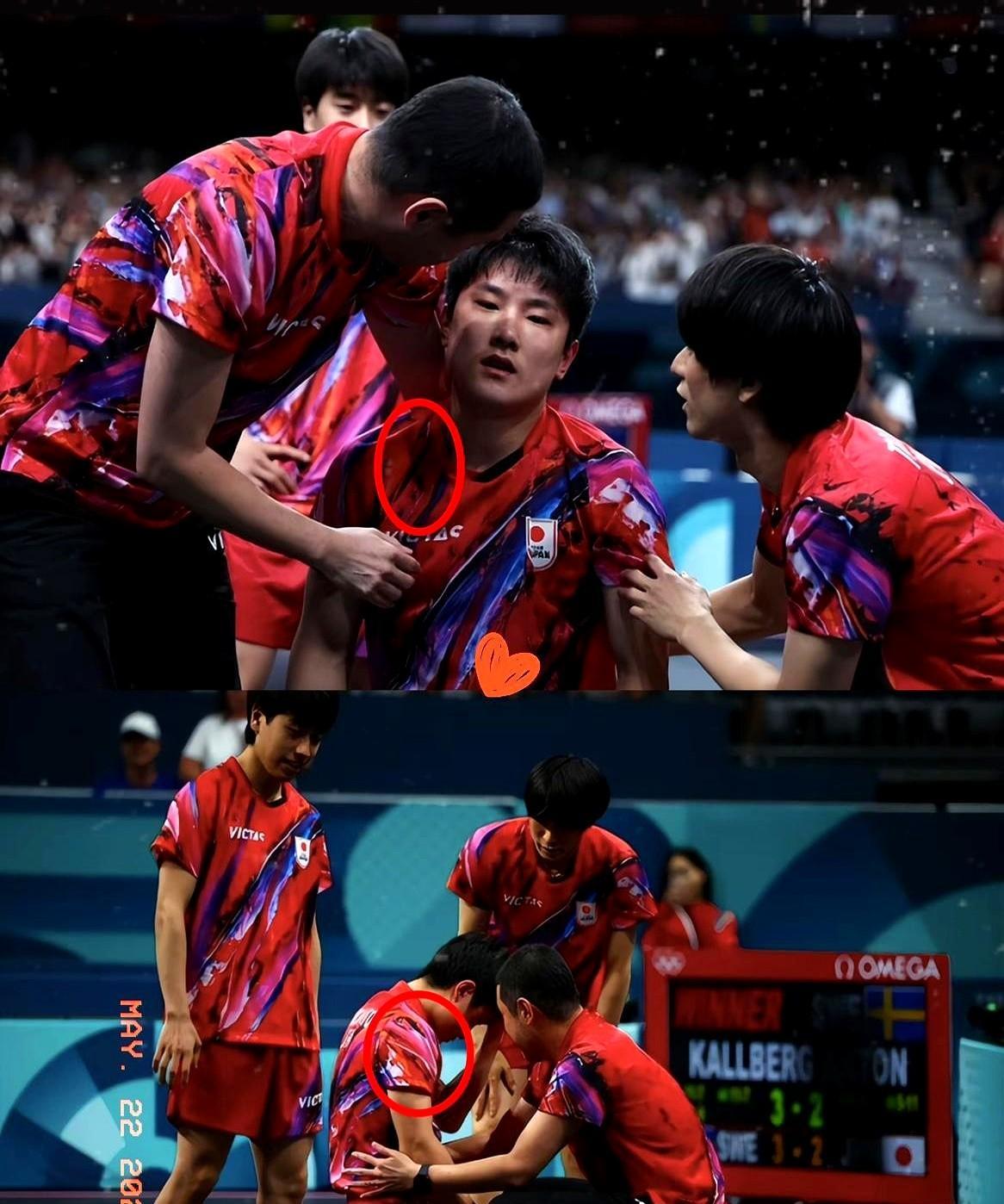 德国队碾压波兰队，张本智和状态火热的简单介绍