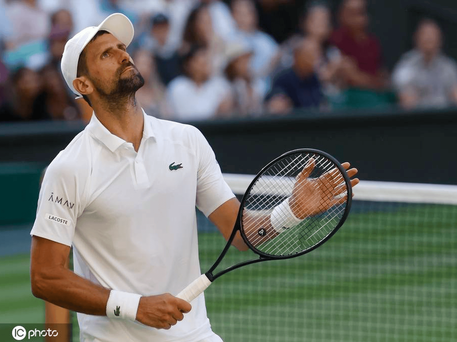 年终总决赛逆转联合杯，德约科维奇点燃赛场