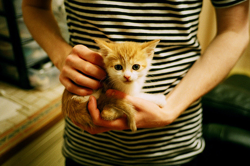 霍勒迪末节19分神奇逆转,76人闯过新疆钢铁防线