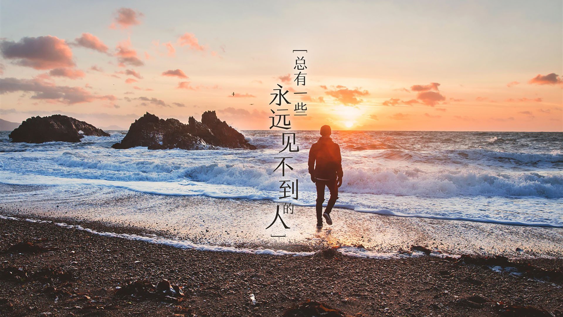 硬仗中的辉煌，辽宁队力克老鹰，米切尔关键时刻定乾坤