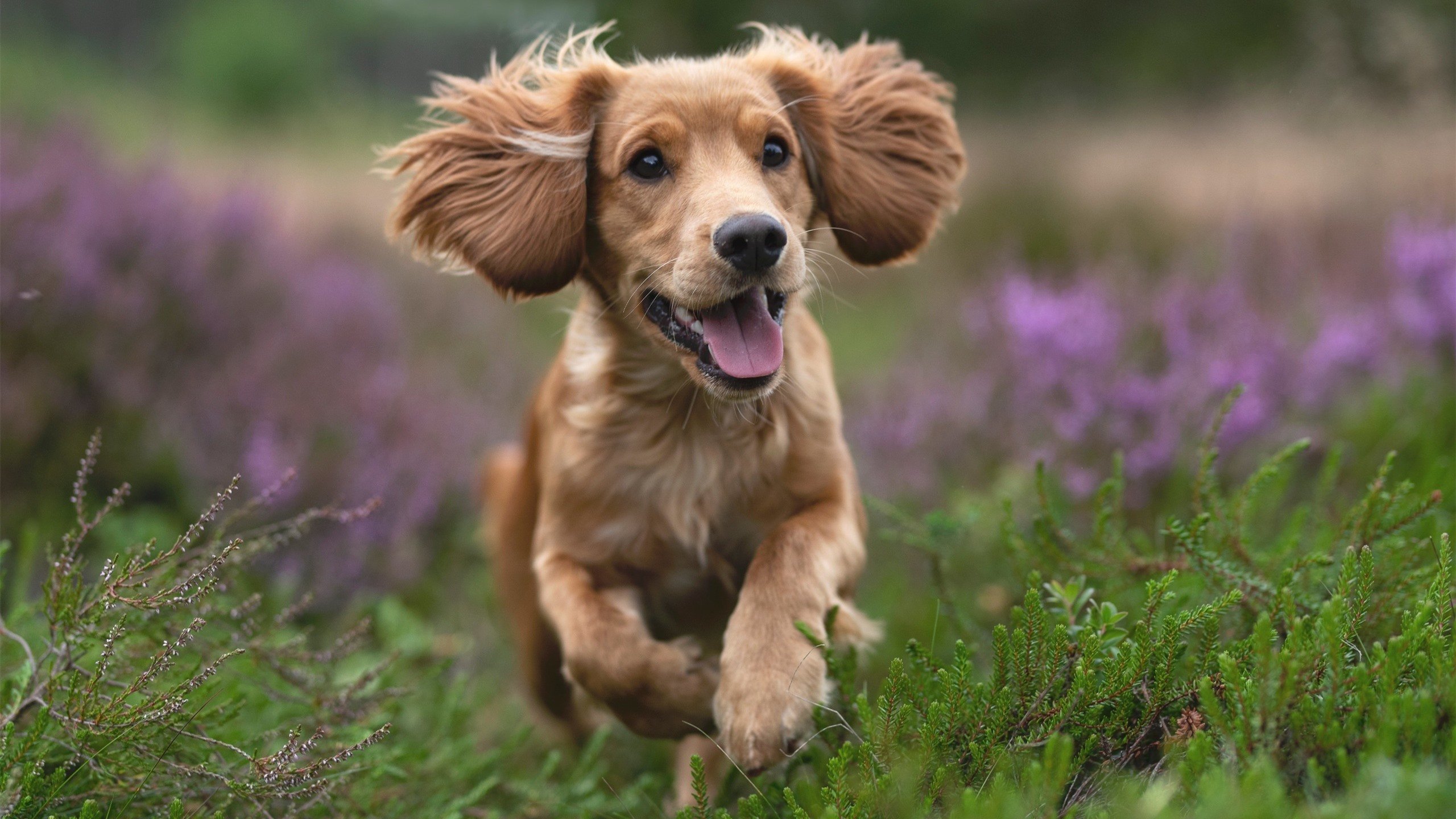 冰与火的对决，雷恩铁索横江锁死亚特兰大，蒂亚戈铸就神迹闪耀全场