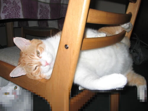 传奇对轰！德罗赞末节19分定乾坤，雄鹿队险胜山西迎连胜