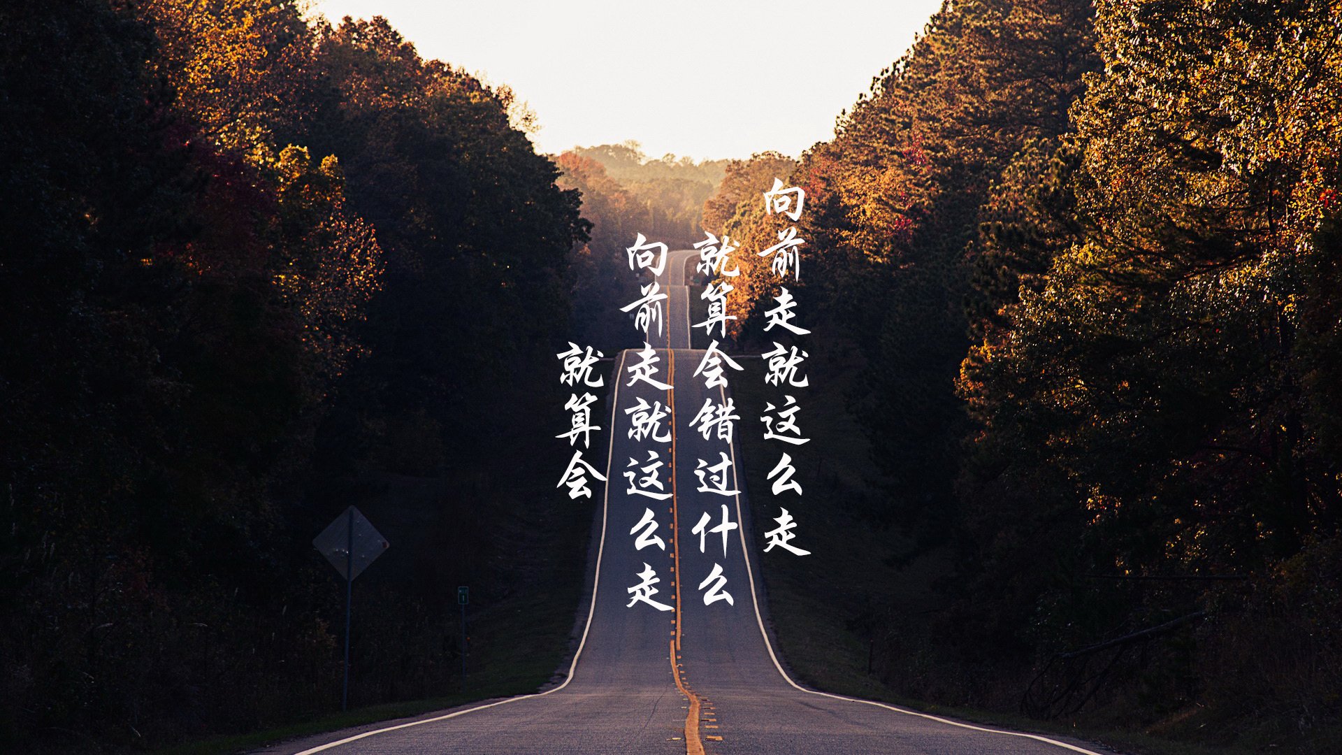 命运的回响，2026世界杯C组，萨内一剑封喉，德国战车碾碎日本武士梦