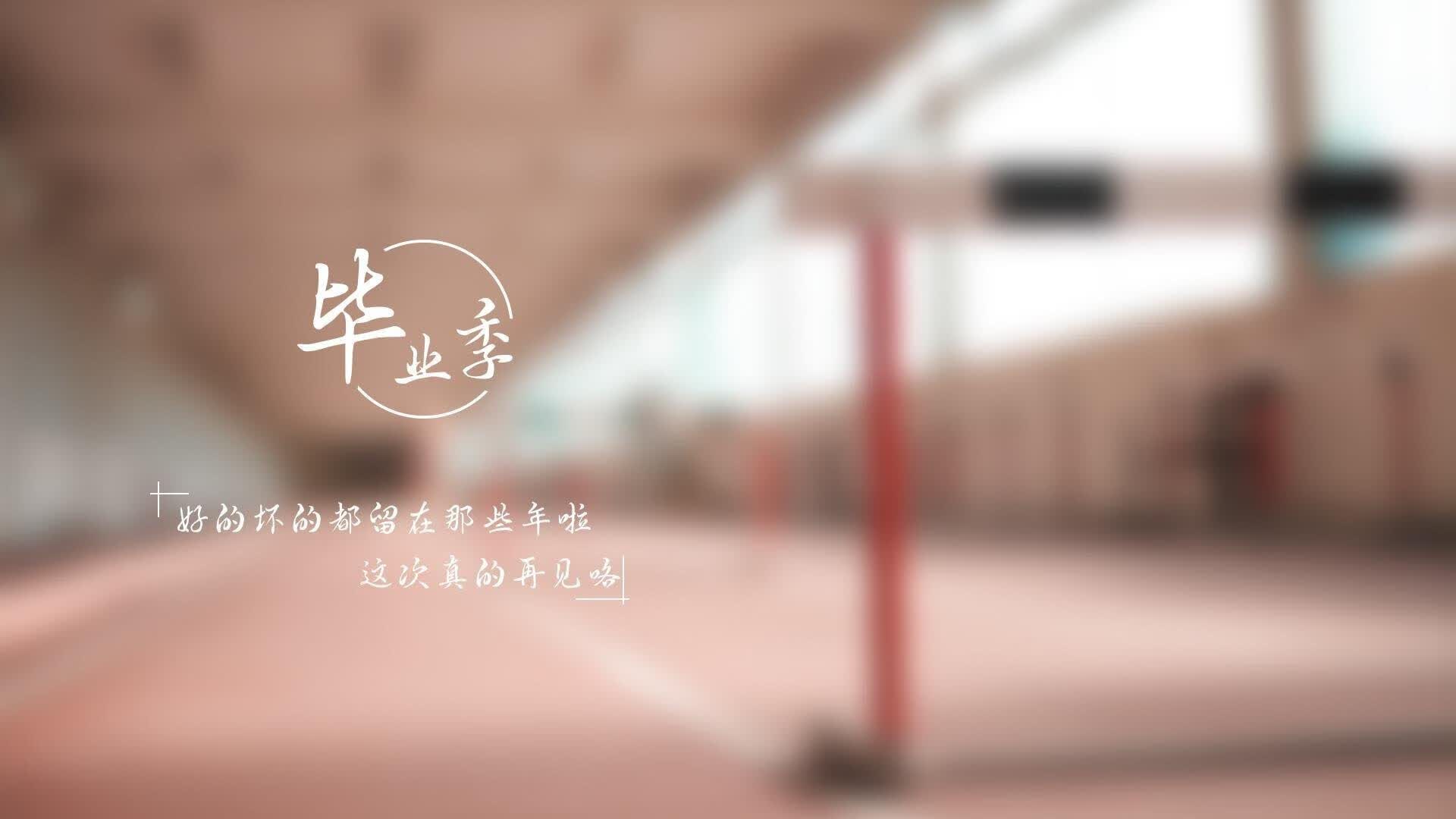 唯有奇迹,2026世界杯G组,印度完胜挪威,卢卡库独木难支的孤勇者之夜